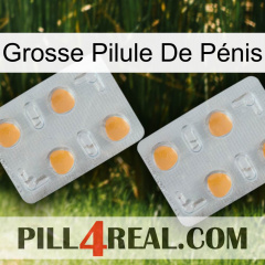 Grosse Pilule De Pénis 25